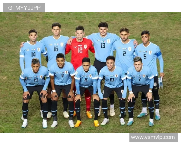 十年世界杯回顾乌拉圭与韩国的经典对决与历史意义分析